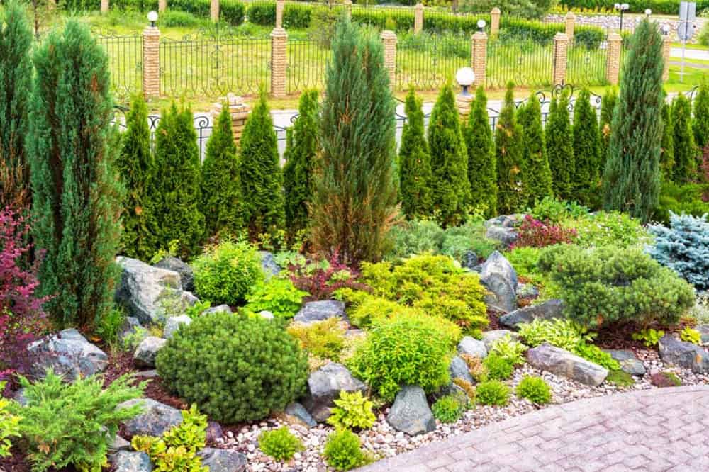 Landscape Consultation, Design, and Installation image