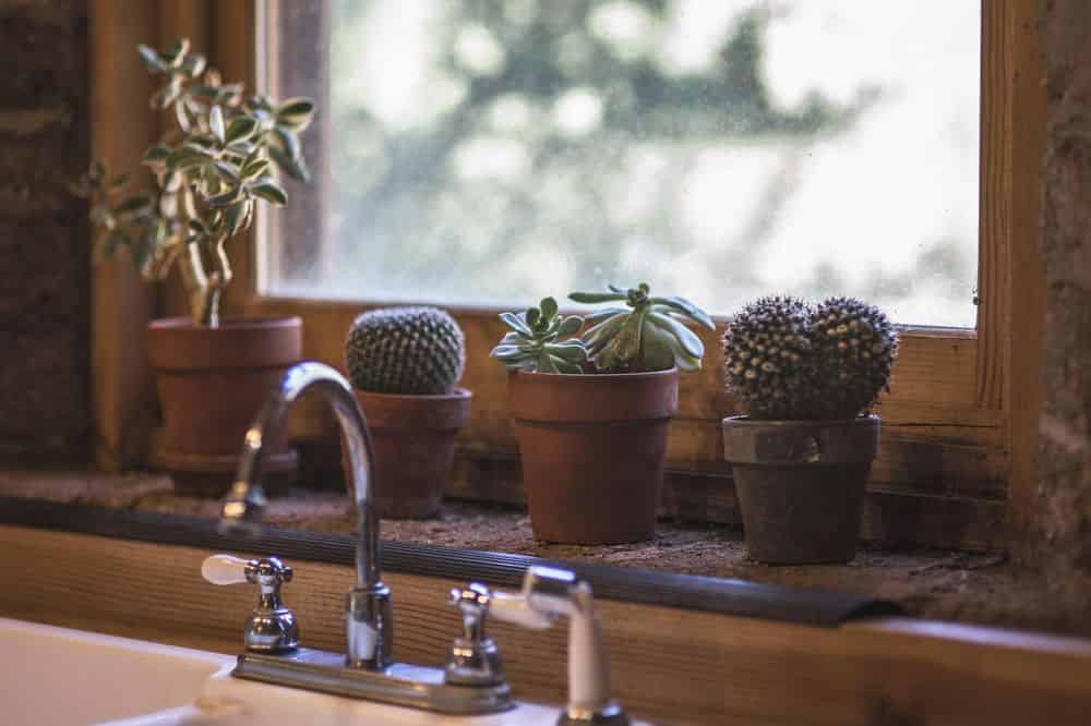 Outdoor Kitchen Services image